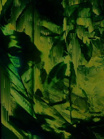 Jungle 