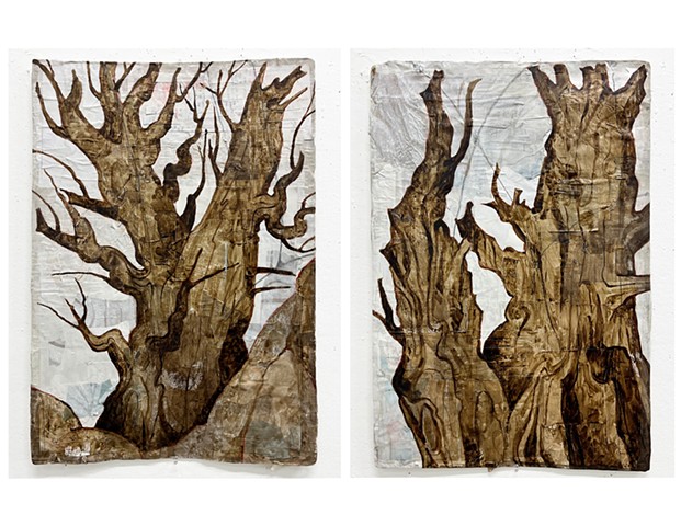 Bristlecone Diptych