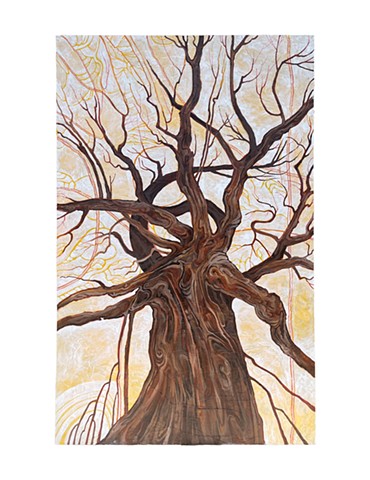 Angel Oak Tree