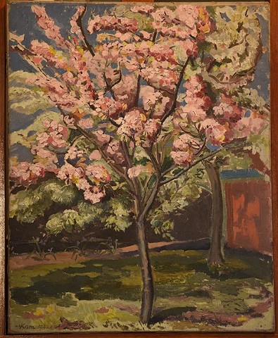 Flowering Cherry Tree, with a garden shed on the right-hand side.