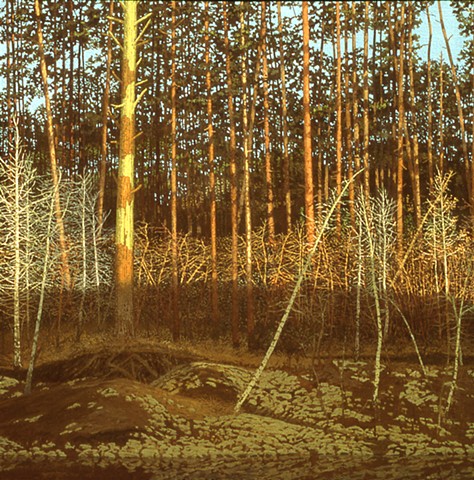 Stand of Pines