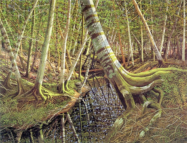 West Fork II