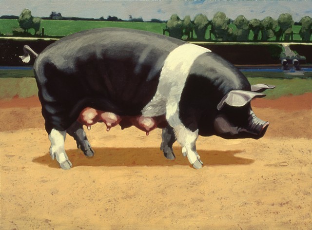 Hamshire Sow No. 2
