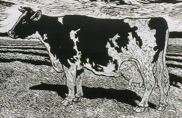 Holstein