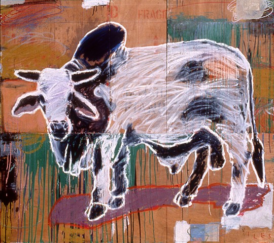 Brahman Bull