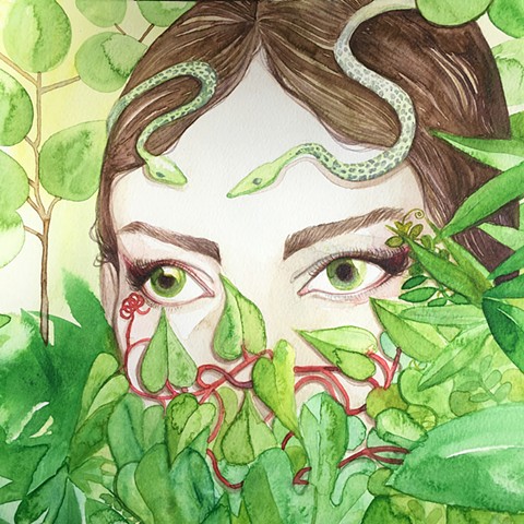 Snake In The Grass