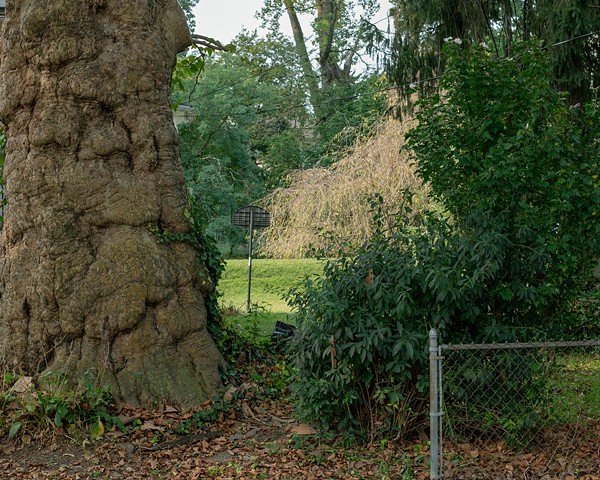 Atget in Suburbia