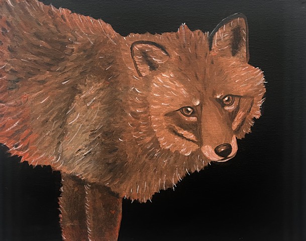Fox