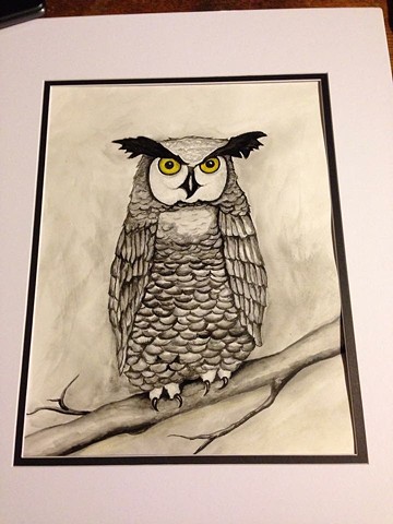 Grumpy Owl