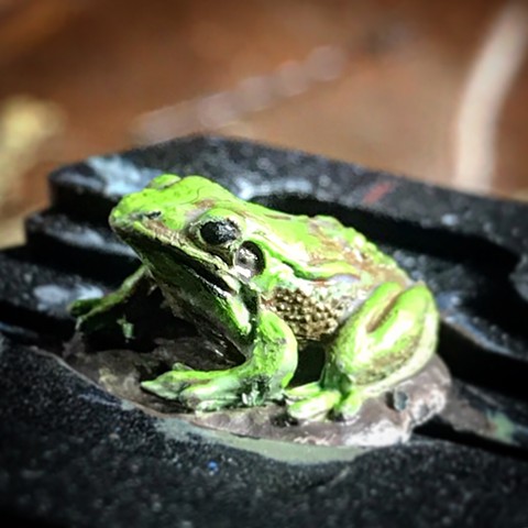 Miniature Toad 