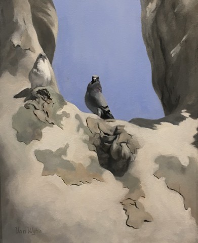 Love Birds