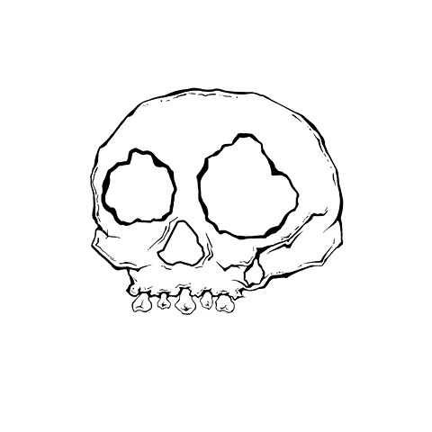 Bones 