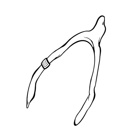 Wishbone 