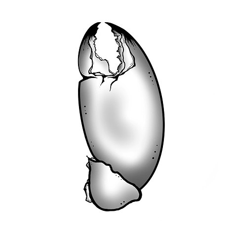 Lucky Lobster Claw 