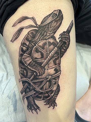 Donatello TMNT 