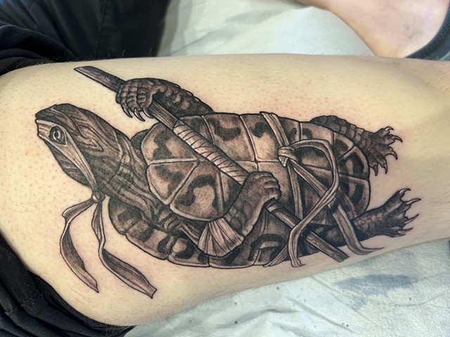 Donatello TMNT 
