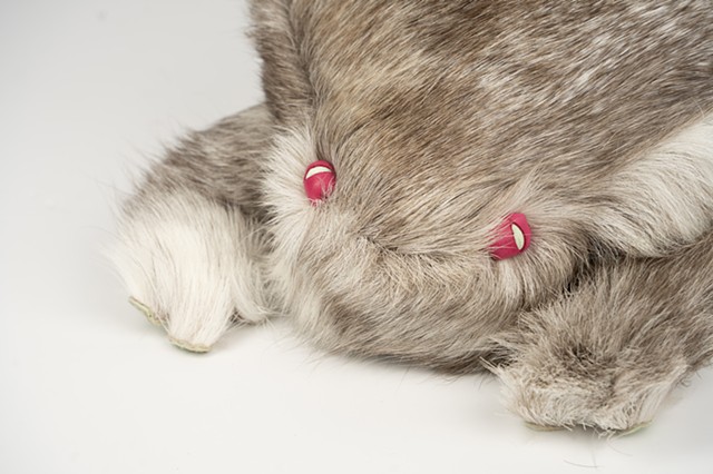 Caribou Fur Toad with Elk Leather Belly and Deerskin Eyes
