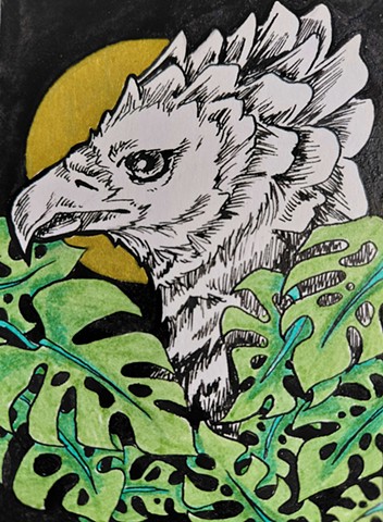 Harpy