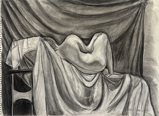 Anatomy Study