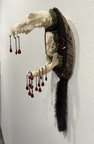 Predator / Prey
