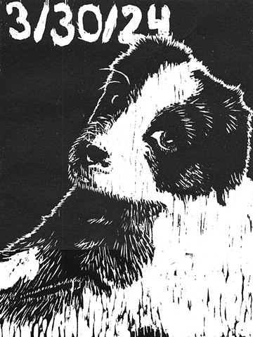Bandit