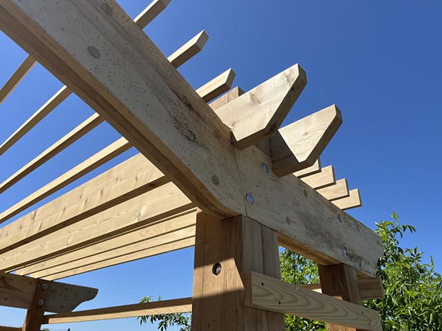 Social Design-Build