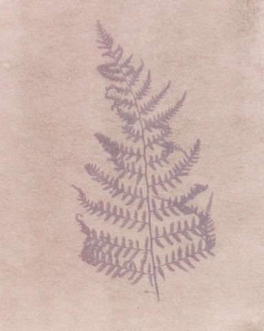 lus journal
