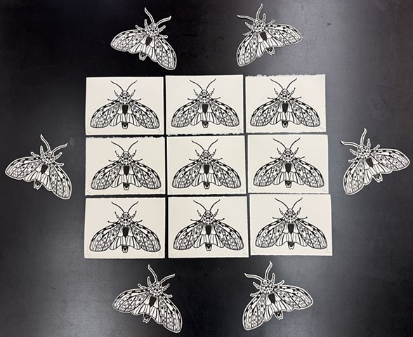 Giant Leopard Moth Editions