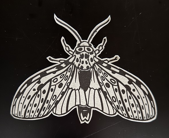 Moth Cutout