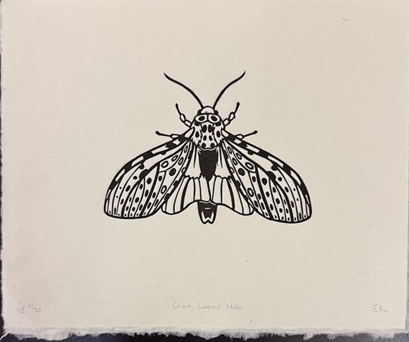 Giant Leopard Moth on Green Kitikata Paper