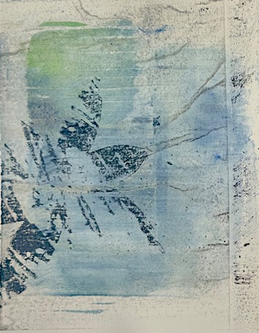 Stargazer 3