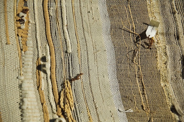 prairie/forest: a study in migration