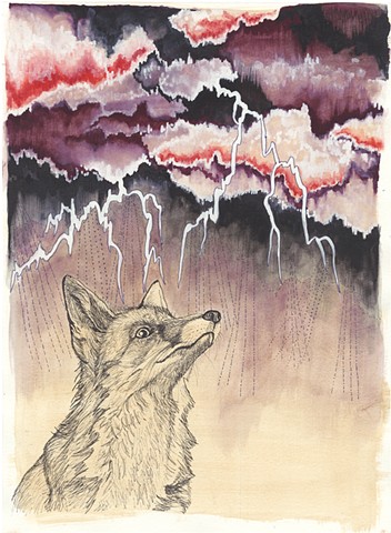 Fox Watches The Storm