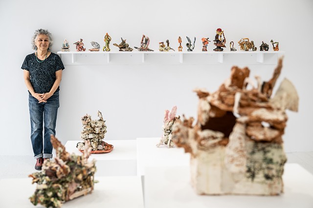JUDY HOFFMAN: ARTIST 