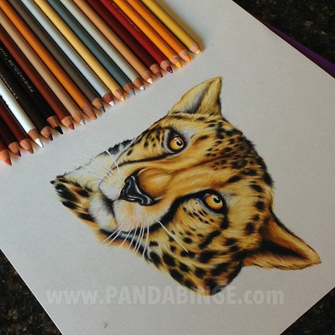 Cheetah drawing