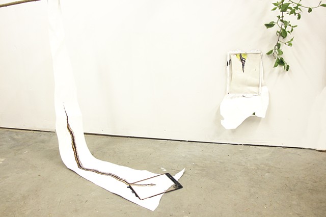 Bittersweet 南蛇藤, 