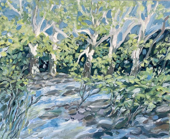 Creek in Spring