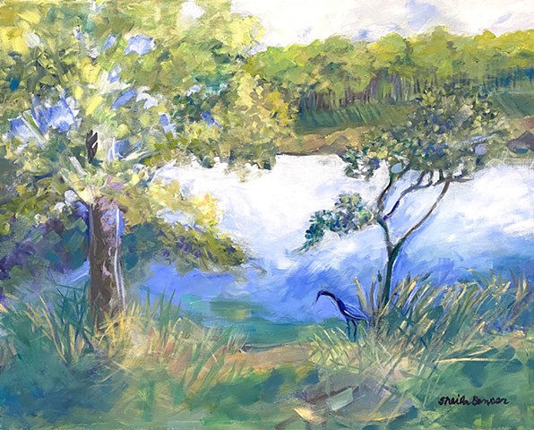 New OIL PAINTINGS, local landscapes 2025