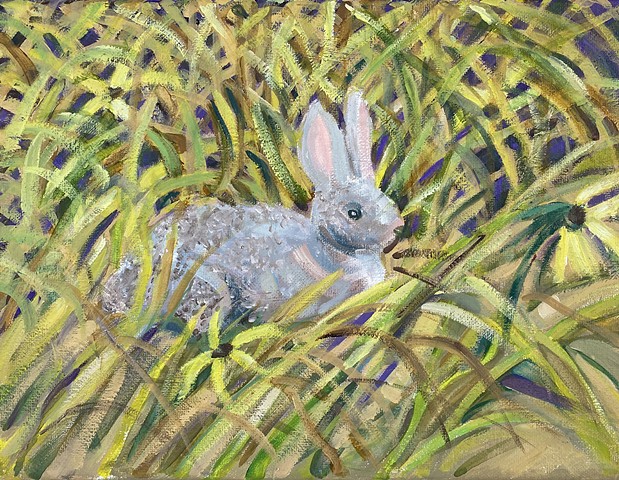 Bunny in the Grass