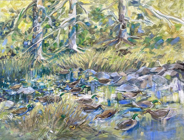 Ducks in the Creek