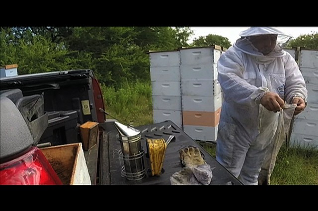 Interview: San Antonio Beekeeper