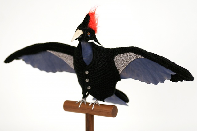 Biodiversity Reclamation Suits for Urban Pigeons: Ivory Billed Woodpecker