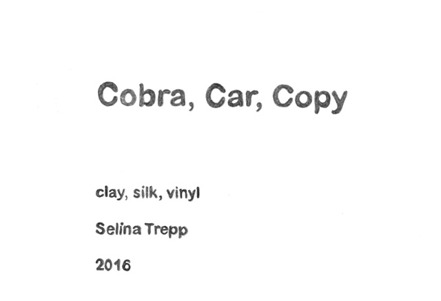 Selina Trepp 2016
