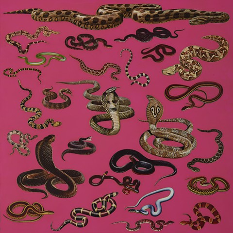 Anthology for the Future: Snakes