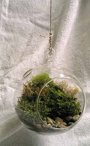 Hanging Moss Globe