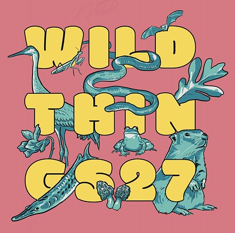 Illustrations