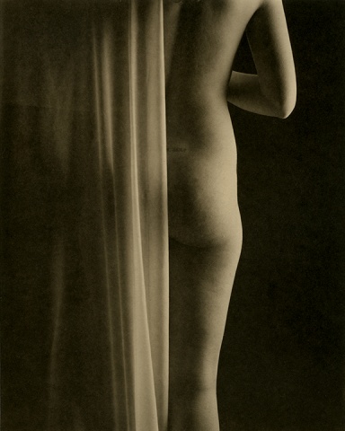 Untitled Platinum Palladium Print #4