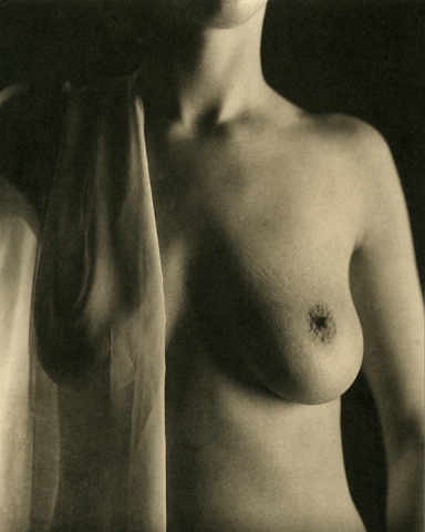 Untitled Platinum Palladium Print #7