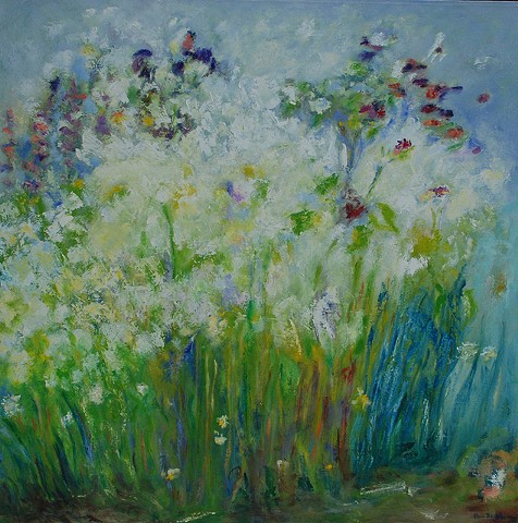 Flowering Buckwheat
