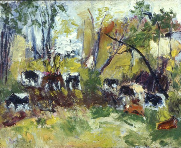Cows in the Woods